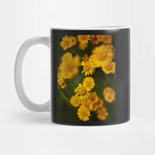 Wild yellow daisies Mug